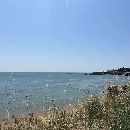 1 Pièce, 4 Couchages, Gilles Croix De Vie, Parking - Fr-1-224-816 Appartamento *